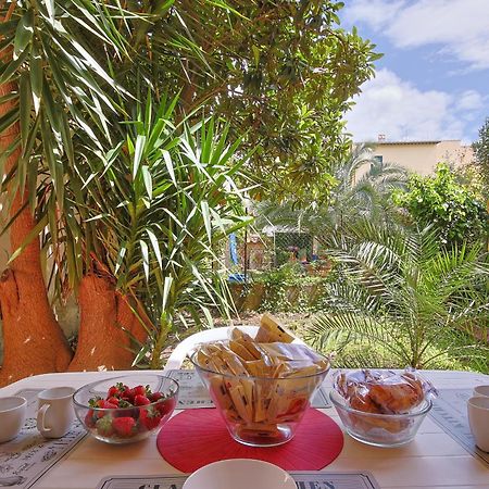 B&B Cristina Garden Pisa Exteriér fotografie